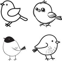 black and white drawing of birds outline vector