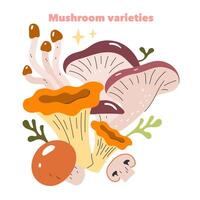 Emerging Ingredients. Flat Illustration vector