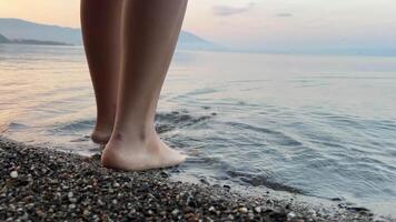 frío agua lago Turín en el frontera de macedonia y albania, adolescente niña entra el agua envuelto en un cobija terminado guijarros a amanecer, solamente piernas y claro claro agua en el horizonte, montañas y amanecer video