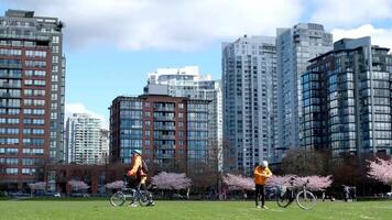 David Lam Park Yaletown beautiful park in vancouver high skyscrapers people walking in spring pacific ocean jetty cyclists sun clear sky blossoming cherry clear sunny day seagulls fly rest weekend video