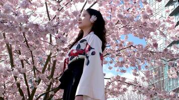 beautiful asian young girl on the background of cherry blossoms David Lam Park Yaletown spring pacific ocean jetty cyclists sun clear sky spend time with family vancouver canada 2023 video