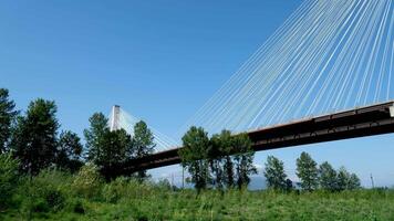 port mann bridge canada over the Fraser River in BC interesting unusual footage of bridge from bottom up green trees railroad Earth on siphon of blue cloudless sky background for advertising text video