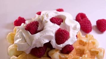 Waffeln mit Sahne und Himbeeren Nahansicht Seite Aussicht Belgier Waffeln mit Sahne und Erdbeeren auf Frühstück. hoch Qualität 4k Aufnahmen video