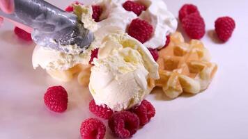 waffles com creme e framboesas fechar-se do uma menina em a de praia comendo uma recém-casado. uma mulher come iogurte gelo creme com cerejas e amendoim. uma mulher mão leva gelo creme com uma colher video