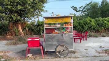 goedkoop straat voedsel in Vietnam kopen een bun Vietnamees vrouw vulling een bun met verschillend ingrediënten naar bakken te gaar slecht voedsel is slecht voor Gezondheid en gevaarlijk video