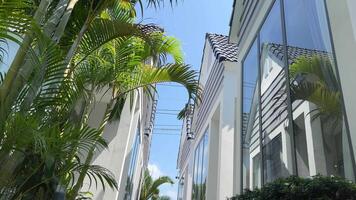 Palm trees swaying near modern apartment complex video