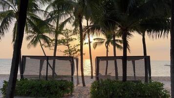 Tilt down during Exotic tropical seaside beach sunset with Palm trees in the foreground Paradise beaches near hotels. Travel travel agency destination beauty of nature rest relaxation video