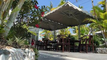 piscina bungalow tropicale giardino con un' stagno e bellissimo bungalow. video