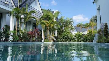 piscina bungalows tropicaltropical jardín con un estanque y hermosa bungalows. video