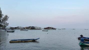 pescaria barcos em a água do a indiano oceano Vietnã phu quoc ilha a beleza e sujeira do pobre vida dentro Vietnã em a ilha Palma árvores intocado natureza e lixo lavado em terra barcos video