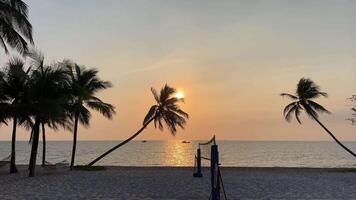 paradis stränder av fukuok phu quoc sonasea strand. handflatan träd hav solnedgång indisk hav lyx semester nära hotell. resa resa byrå destination skönhet av natur resten avslappning video