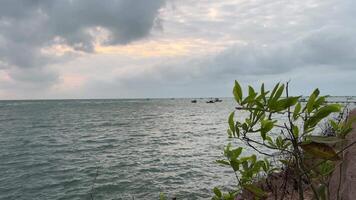 Boat is swiming on the middle of sea some trees in front. Flag is on the boat. Boat is anchored. Vietnam phu Quoc island video