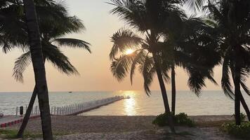 Paradise beaches of Fukuok Phu Quoc Sonasea beach. Palm trees sea sunset Indian Ocean Luxury vacation near hotels. Travel travel agency destination beauty of nature rest relaxation video