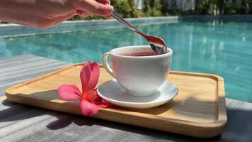 cerca arriba de taza de negro té en de madera mesa en calle café o restaurante terraza. joven hermosa mujer poniendo un té taza en platillo. descanso tiempo, romántico soleado día. video