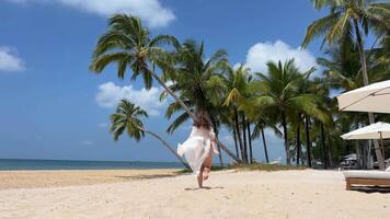 donna ballare, in esecuzione, capelli e pareo svolazzanti donna su tropicale riva del mare fra palme elegante donna godendo estate viaggio nel bikini indossare occhiali da sole. bella elegante signora indossare sole cappello. video