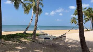 Hammock on the Palm hammock suspended on the beach with the calm sea in the background video