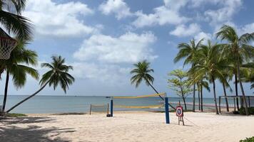 Vietnam phu quoc eiland volleybal rechtbank Aan de strandopgang visie van palm bomen en volleybal rechtbank netten Aan Huntington strand op zoek Bij Indisch oceaan video