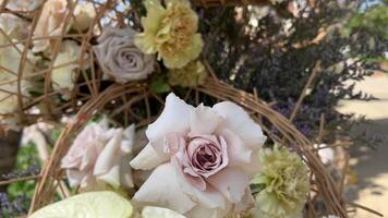 Hochzeit Dekor Strand einstellen oben Strand Blumen- Rosen Bogen sonnig Sommer- Deutschland. Beste Hochzeit Western Einzelheiten Holz Stühle Gold Konzept. Rahmen Bühne festlich Ehe Muster tropisch Insel Sonnenuntergang. video