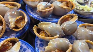 mollusks vietnam food Close up lots of different mixed colorful seashells as background. Various corals, marine mollusk and scallop shells. Sea vacation travel and beach holiday tourism concept. video