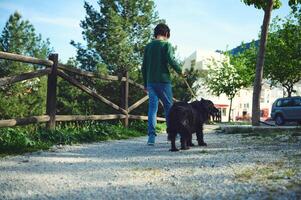 Rear view of child boy walking a dog on a leash outdoors. School age boy spending time with his domestic pet on the nature. People and animals concept photo