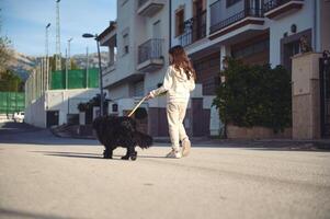 Little child girl enjoying a walk with her cocker spaniel dog outdoors photo