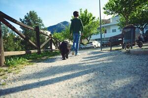 Rear view of child boy walking a dog outdoors. School age boy spending time with his domestic pet on the nature. People and animals concept. photo