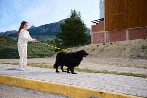 Adorable child kid enjoying her morning walk with her pedigree dog, a black purebred cocker spaniel in the mountains nature outdoors. People. Nature and playing pets concept photo