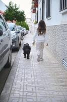 Full length portrait of European cute little child girl in sportswear, walking her dog, a purebred black cocker spaniel on leash on the street. People and animals. Playing pets concept. Rear view photo