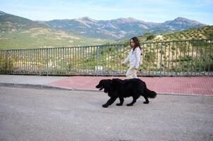 Side full length portrait of a beautiful kid girl walking her dog on leash on the nature in mountains on a sunny day photo