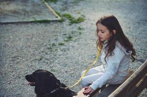 Side portrait from above of little child nd her dog on the city bench in the nature outdoors. Cute child walking her dog on leash photo