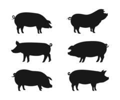 firmar cerdo. aislado negro silueta cerdo. conjunto de silueta cerdo ilustración vector