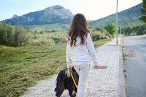 Back view of a little kid girl taking her cocker spaniel dog for a walk on leash in the nature against mountains background. People. Playing pets. Nature. Lifestyle. Childhood photo