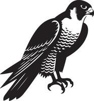 halcón peregrino halcón silueta ilustración. vector