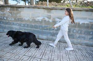 Side view little girl walking her dog on the street. Elementary age kid spending time with her pedigree cocker spaniel on leash. Childhood. Domestic animals. Playing pets concept. View from the back photo