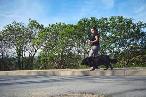 Enjoying my morning jog with my companion cocker spaniel pet outdoors. People. Playing pets. Love for animals and nature concept. photo