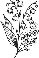 Sketch of Floral Botany Collection, Lily of the Valley flower drawings. Black and white with line art on white backgrounds. Hand Drawn Botanical lily of the valley Illustrations vector