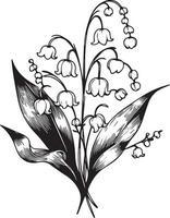 Gorgeous drawing of lily of the valley flower, inflorescence, stem, and leaves. Blooming plant hand drawn in vintage engraving style lily of the valley flower, realistic lily of the valley flower art vector