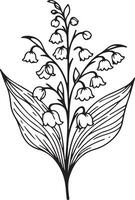 lily of the valley drawing, outline lily of the valley drawing, botanical lily of the valley drawing, realistic botanical lily of the valley drawing, minimalist lily of the valley drawing vector