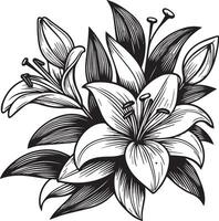 bosquejo de floral botánica recopilación, lirio de el Valle flor dibujos. negro y blanco con línea Arte en blanco antecedentes. mano dibujado botánico lirio de el Valle ilustraciones vector