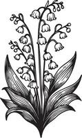 Lily of the Valley line drawing. illustration, isolated floral elements for design. Contour monochrome illustration isolated on a white background vector