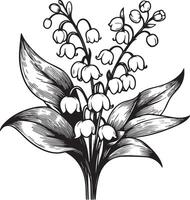 lily of the valley drawing, outline lily of the valley drawing, botanical lily of the valley drawing, realistic botanical lily of the valley drawing, minimalist lily of the valley drawing vector