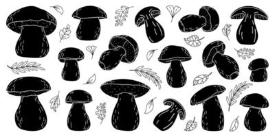 Porcini forest Boletus mushrooms silhouette set. Hand drawn boletus edulis fungus. Porcini fresh edible mushrooms silhouette icons. Cep. King bolete black on white Penny bun illustration vector