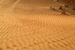 The Judean Desert in the Middle East, located in Israel and the West Bank. photo