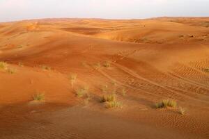 The Judean Desert in the Middle East, located in Israel and the West Bank. photo