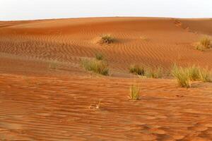 The Judean Desert in the Middle East, located in Israel and the West Bank. photo