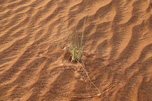 el judeo Desierto en el medio este, situado en Israel y el Oeste banco. foto