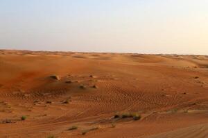 The Judean Desert in the Middle East, located in Israel and the West Bank. photo