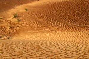 el judeo Desierto en el medio este, situado en Israel y el Oeste banco. foto