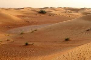 The Judean Desert in the Middle East, located in Israel and the West Bank. photo