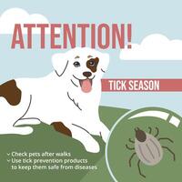 Square social media post warning about tick season, with an image of a dog and a tick in the grass. Attention banner. Suitable for veterinary clinics, pet stores, shelters. vector